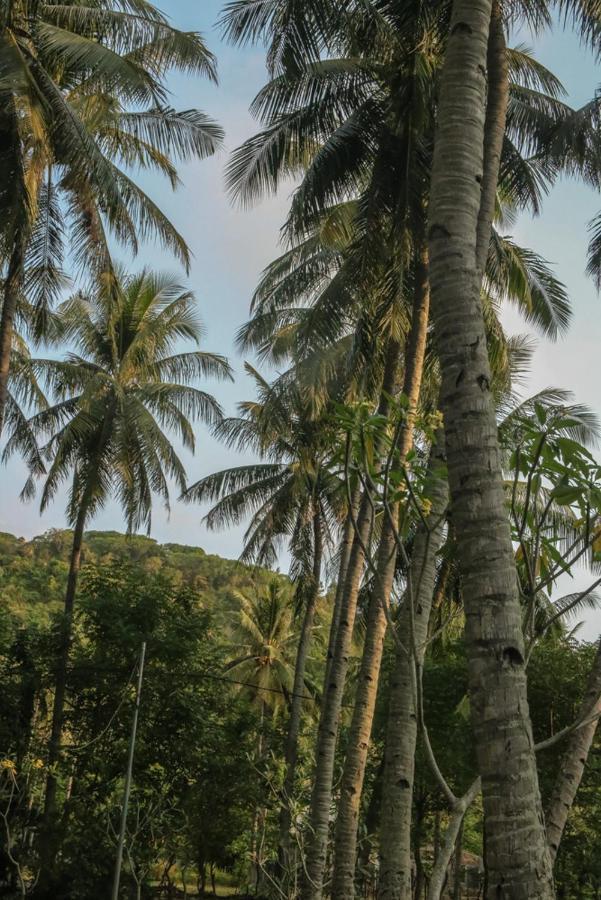 Lendang Eco Lodge スンギギ エクステリア 写真