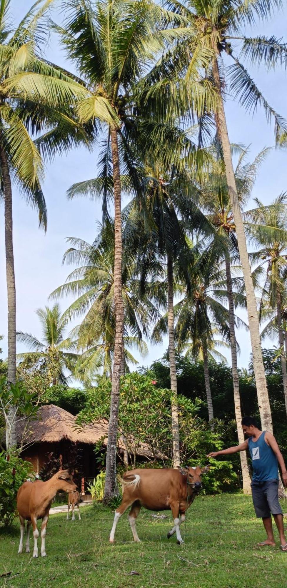 Lendang Eco Lodge スンギギ エクステリア 写真