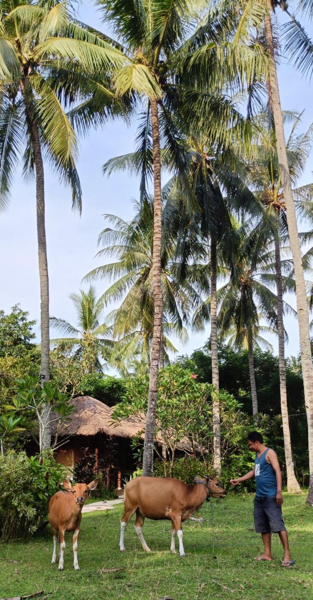 Lendang Eco Lodge スンギギ エクステリア 写真