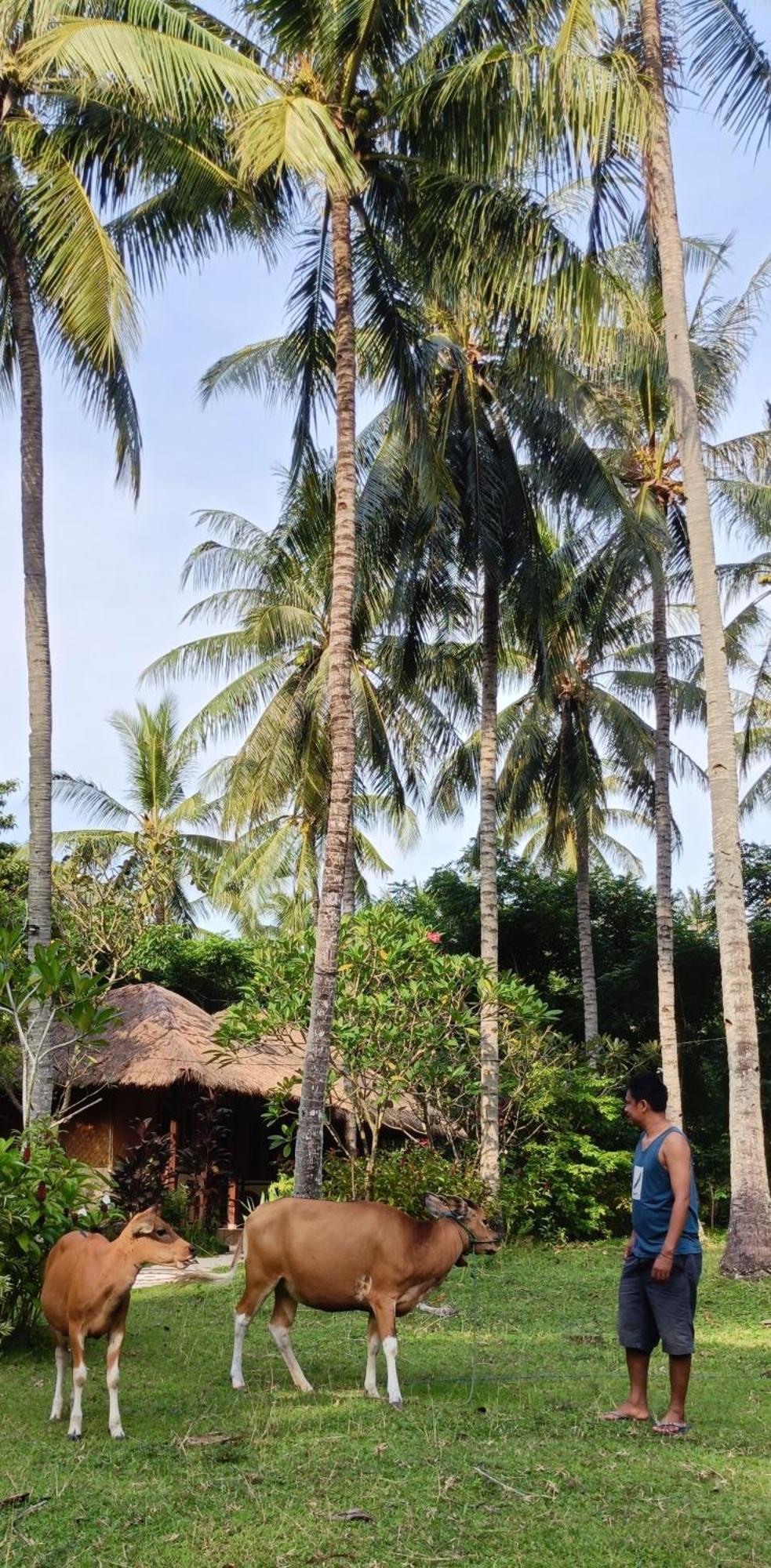 Lendang Eco Lodge スンギギ エクステリア 写真