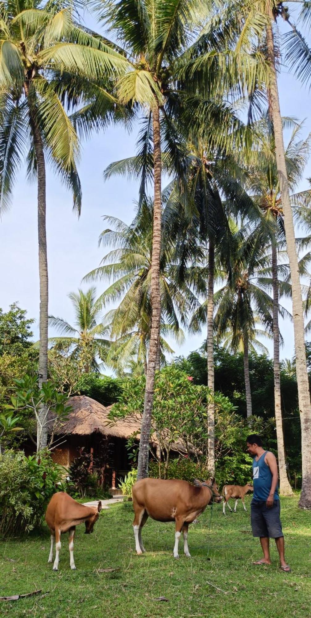 Lendang Eco Lodge スンギギ エクステリア 写真